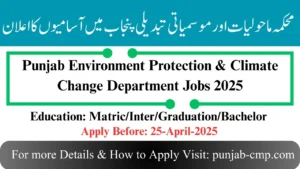 Read more about the article Punjab Environment Protection & Climate Change Department Jobs 2025
