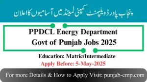 Read more about the article Punjab Power Development Company Limited PPDCL Energy Department Govt of Punjab Jobs 2025