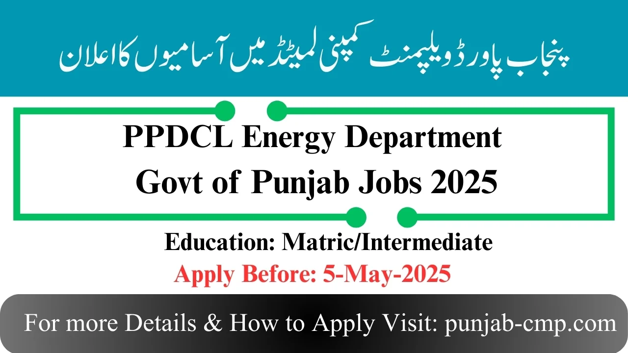 Read more about the article Punjab Power Development Company Limited PPDCL Energy Department Govt of Punjab Jobs 2025